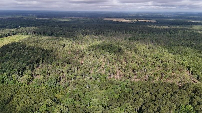 Copy of DJI_20250529215553_0529_D