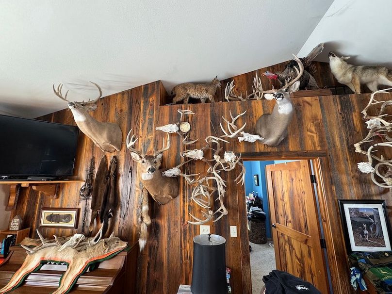 Copy of Trailcam2