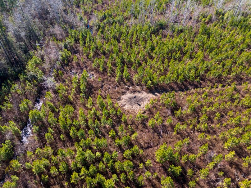 Pender NC 382 - Edits-12