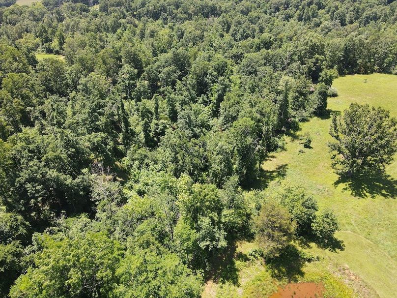 DJI_0822