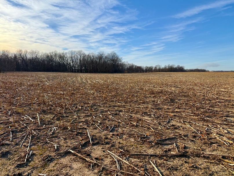 Copy of IMG_7179 Large