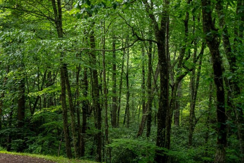 70 Featured_ProPhoto-30