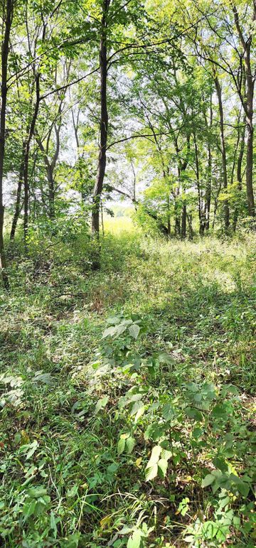 382516890_631792235762479_6483493674864461269_n