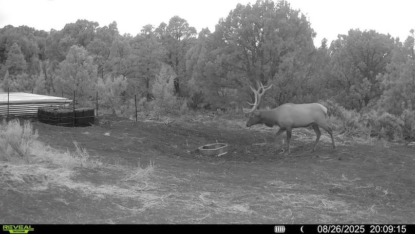 016578004060205-100-2-08262025200915-V-SYFW00037 (1)