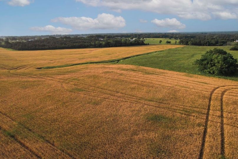 Lamar County- 92.66 Acres (21 of 29)