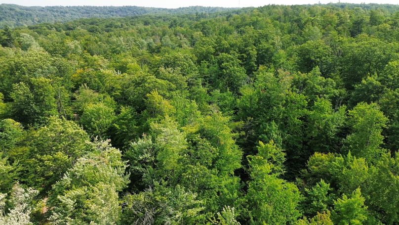 dji_fly_20230809_154938_200_1691610609739_photo_optimized