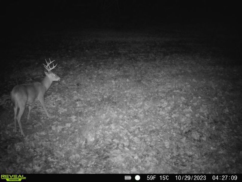 trail cam and harvest17