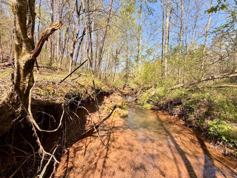 Monroe Co TN 44.66 Bolton_006