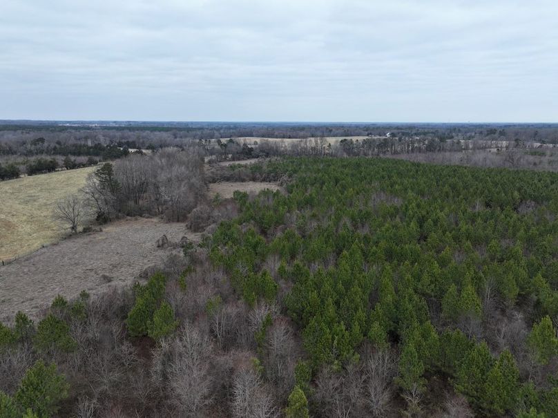 dji_fly_20251224_114304_0239_1767705649981_photo