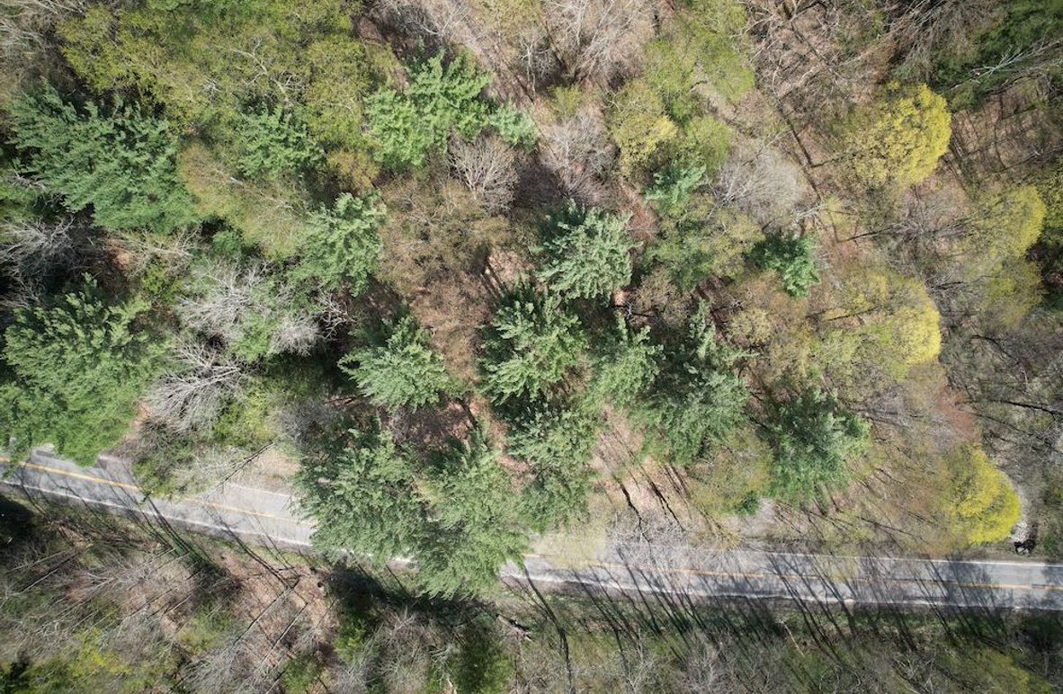 Tioga_76.65_Matyjas_Photos_2