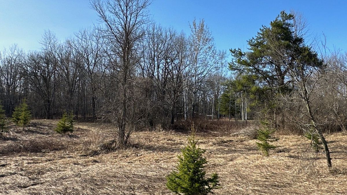 Secluded Hunting And Recreational Property Close To Mille Lacs Lake