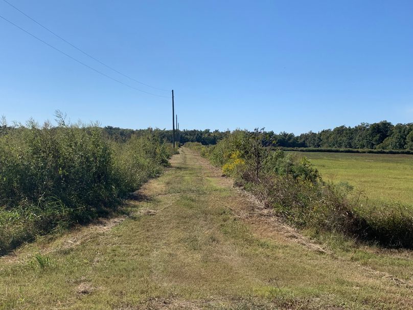 D216BA73-4E55-429F-85DE-F2B40F91BA1B copy