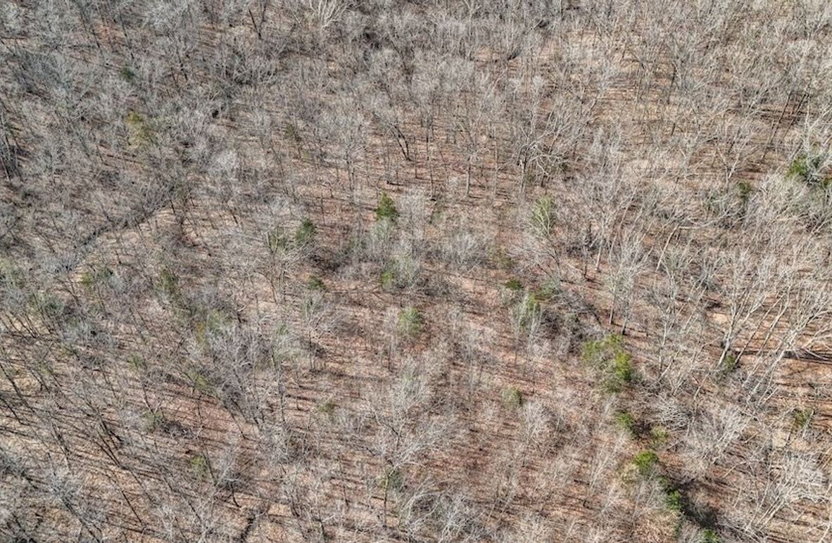 DJI_20250316085744_0034_D