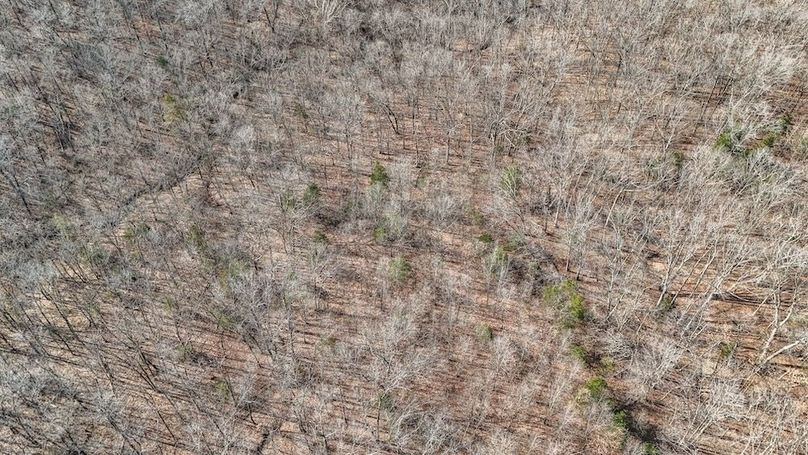 DJI_20250316085744_0034_D