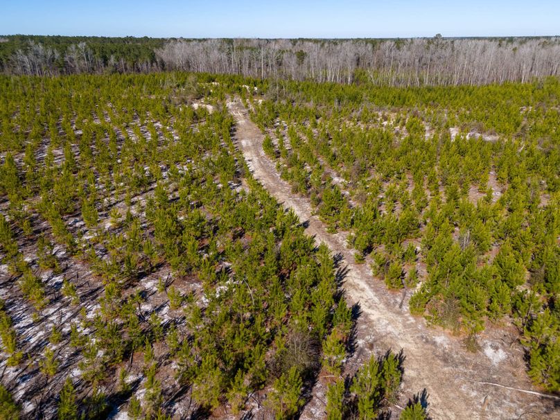 Pender NC 382 - Edits-21