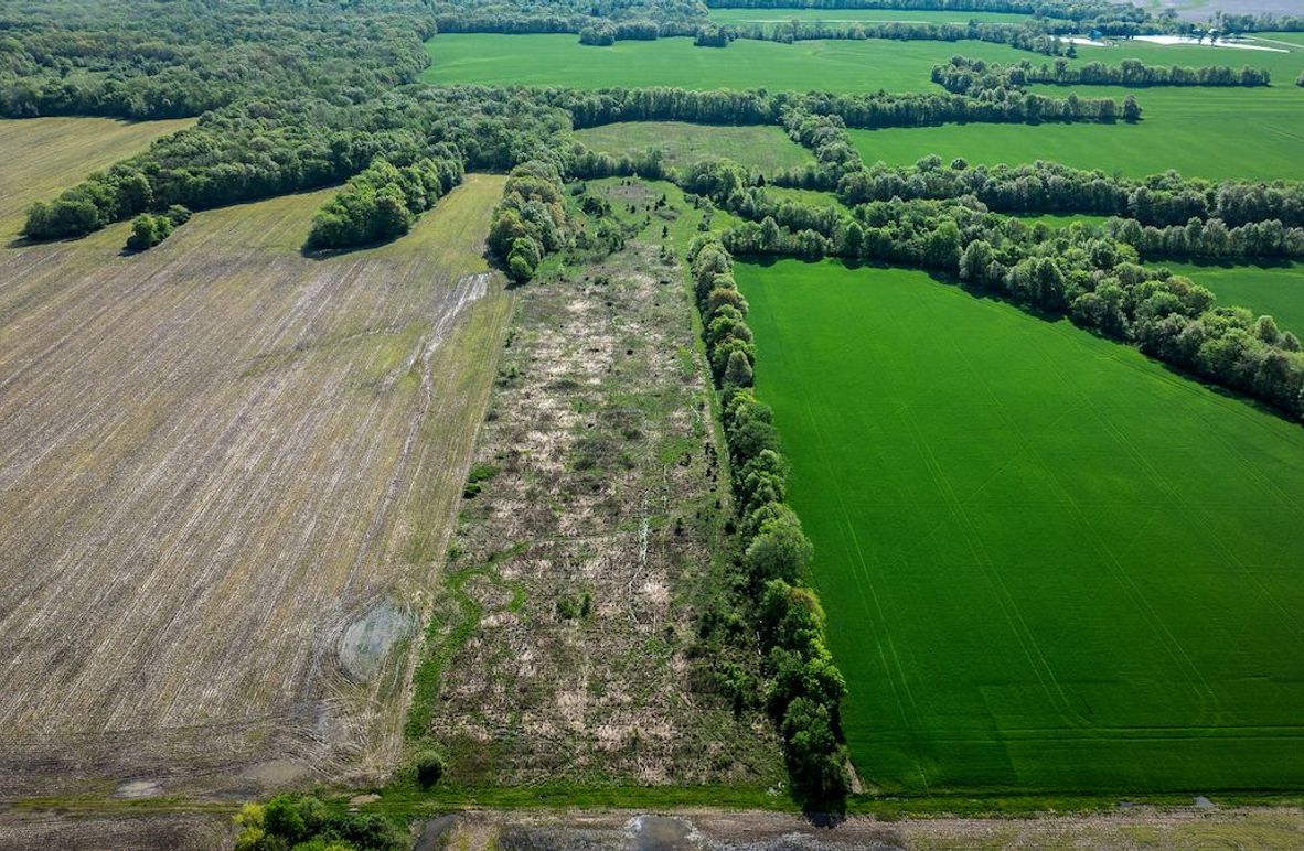 DJI_20250428083203_0029_D