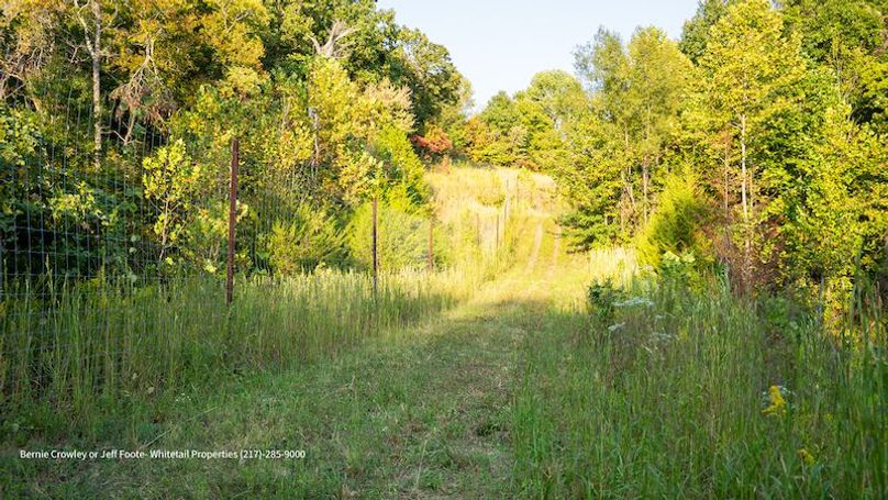 Tallahatchie 847 Messina-33
