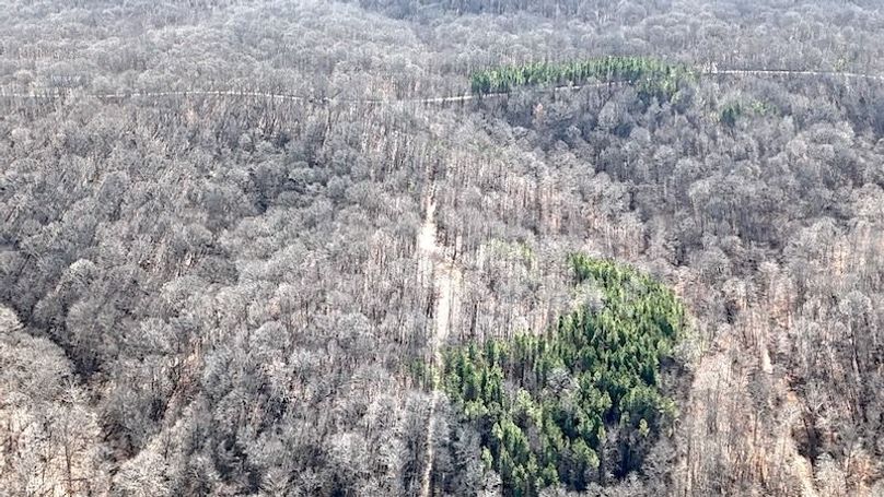 DJI_20260112113838_0028_D