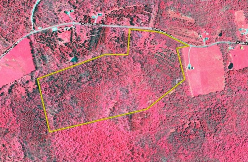 Land ID Infrared