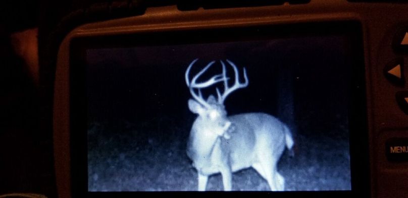 trailcam3