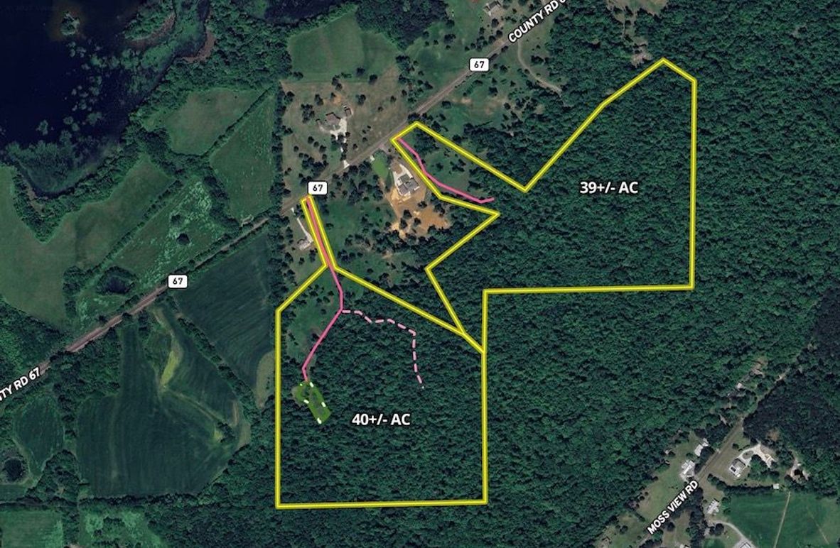 Screenshot 2025-03-18 at 3.32.10 PM