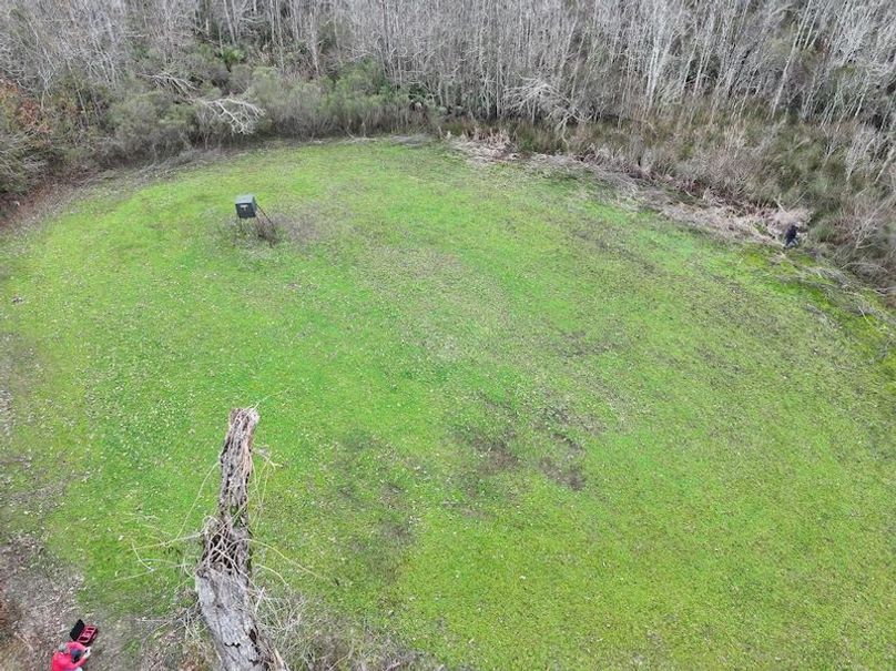 dji_fly_20260123_132344_0942_1769444773328_photo