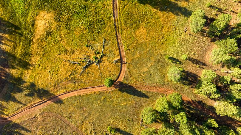 Cibola NM 13,053--118