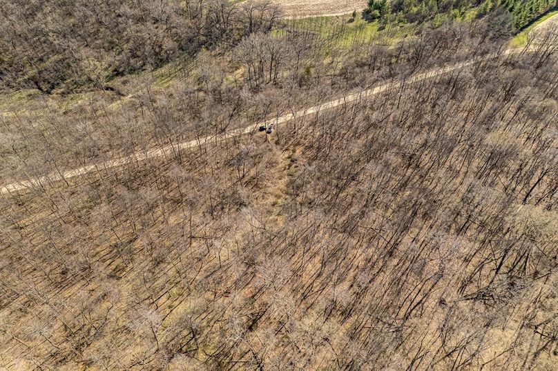 Jo Daviess IL 23.5_28