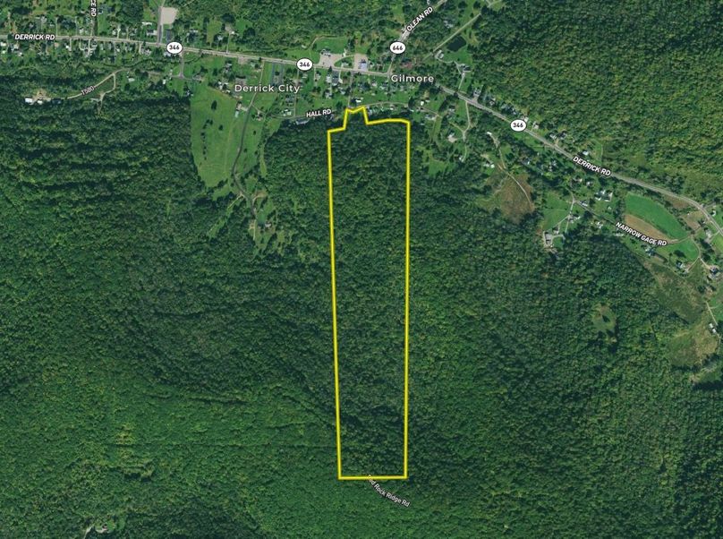 Screen Shot 2023-02-20 at 12.11.36 PM