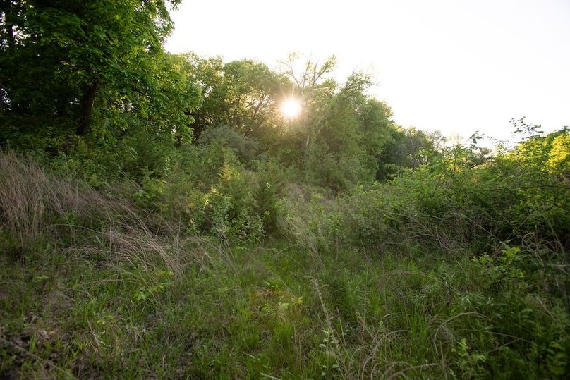 PAGE CO IA 130+_-_29