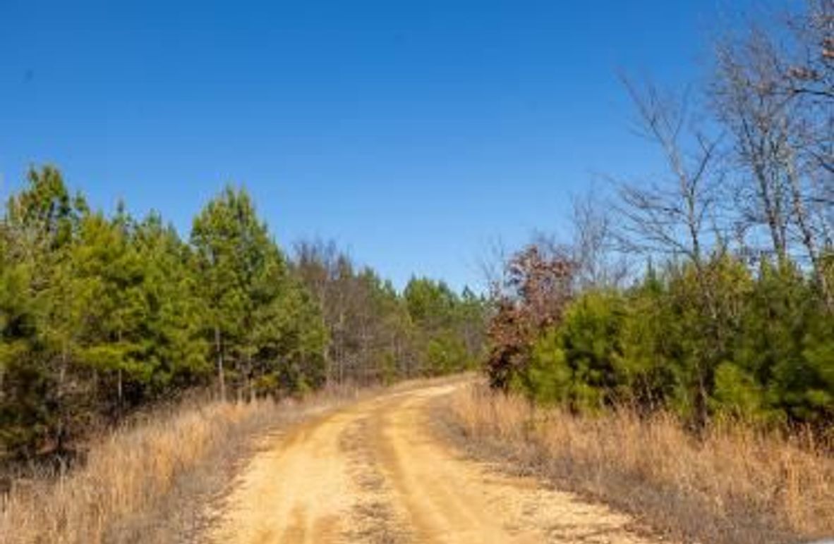 MCKINNON TRACT 19-04