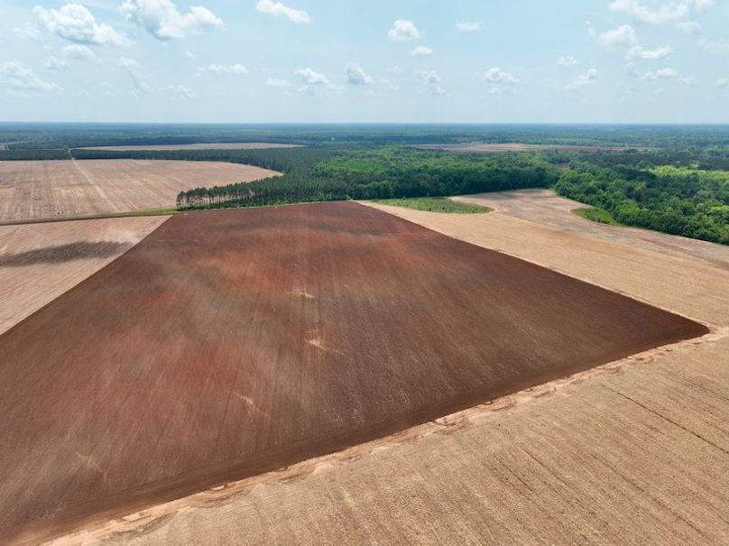 dji_fly_20250423_130302_792_1745428250399_photo