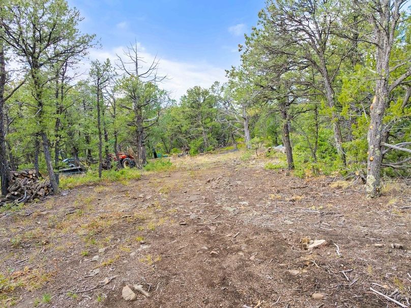 DJI_20250924102953_0044_D