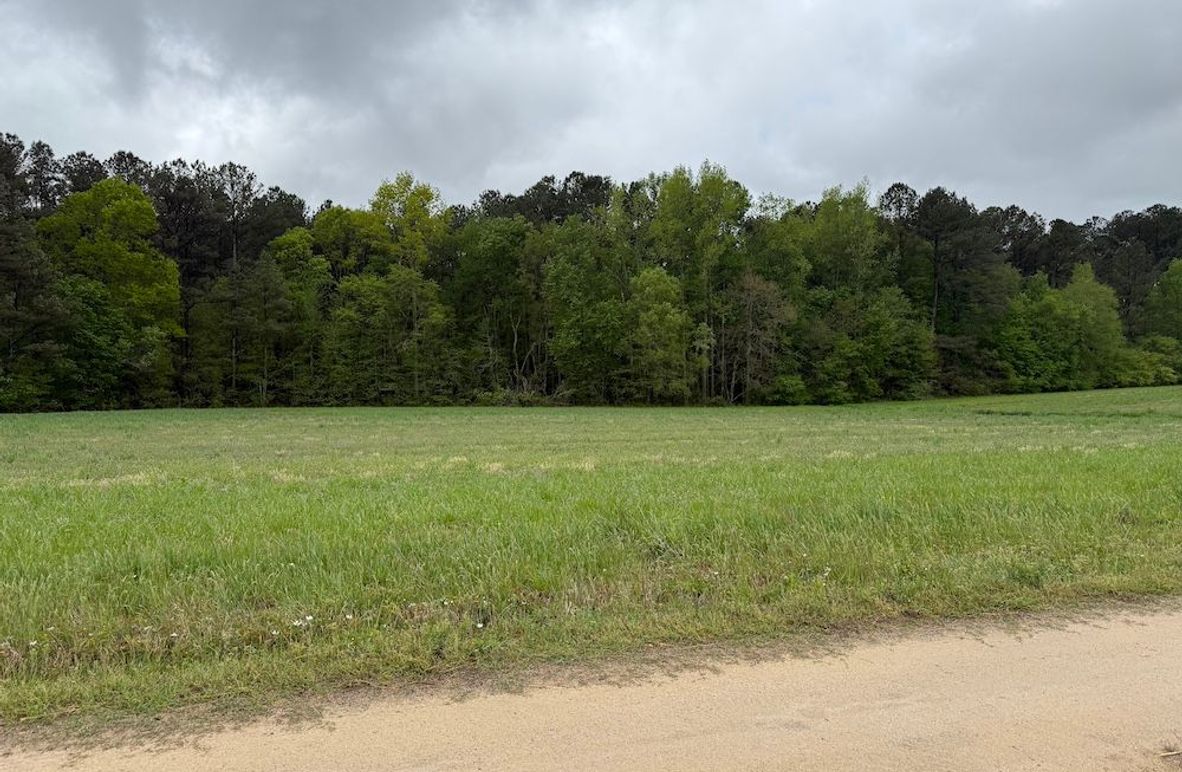 Copy of Copy of IMG_5648