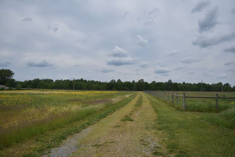 DSC_2587