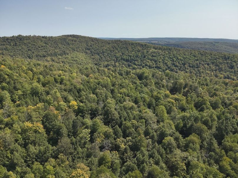 13 DJI_20250909131952_0005_V