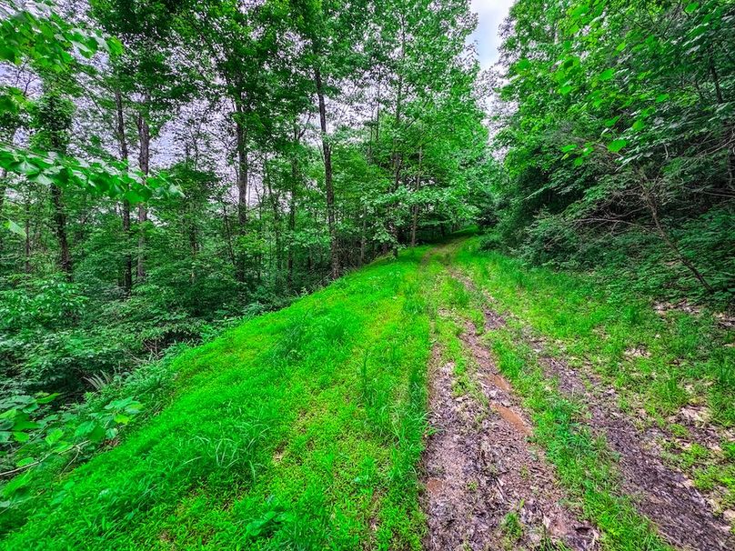 Tyler, WV 313.87 AC -12