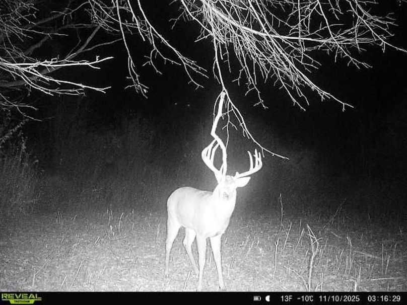 864049056902317-60-4-11102025031628-W1000983 - Copy