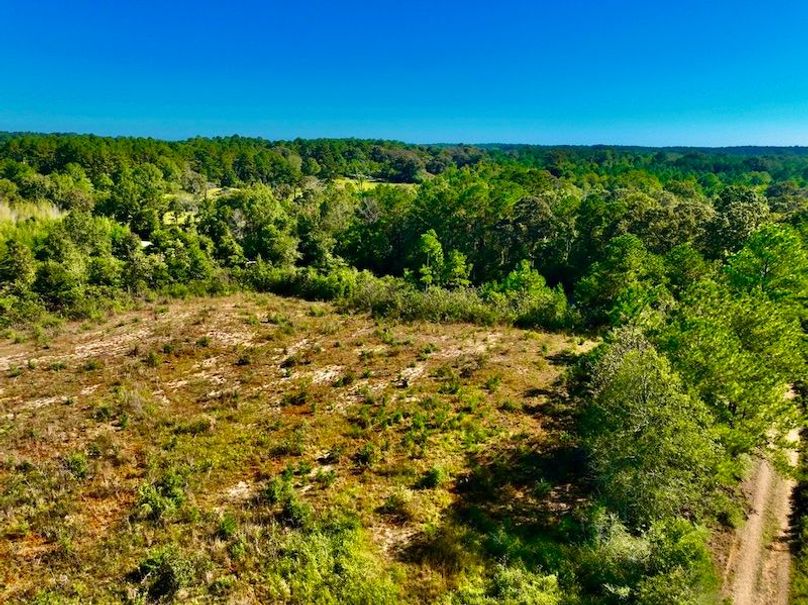 0349E001-F507-43C9-9E98-99992684DD07_1_105_c