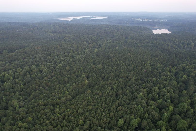 DJI_0041