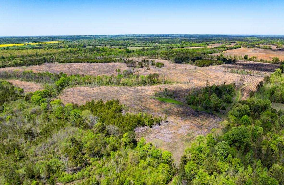 Chickasaw 165 Woods-02