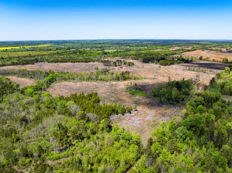 Chickasaw 165 Woods-02