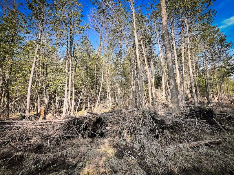 StLawrence_142.7_Bosse_Photos_62