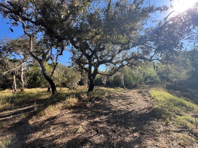 205AC476-3104-42D8-B4FF-AC022C5F0092_1_105_c