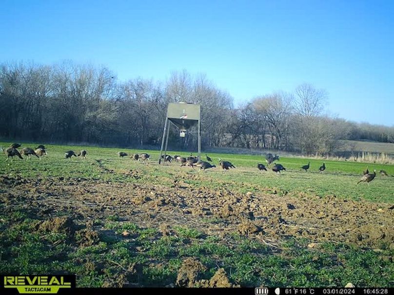 865509050069214-100-3-03012024164541-w1009019