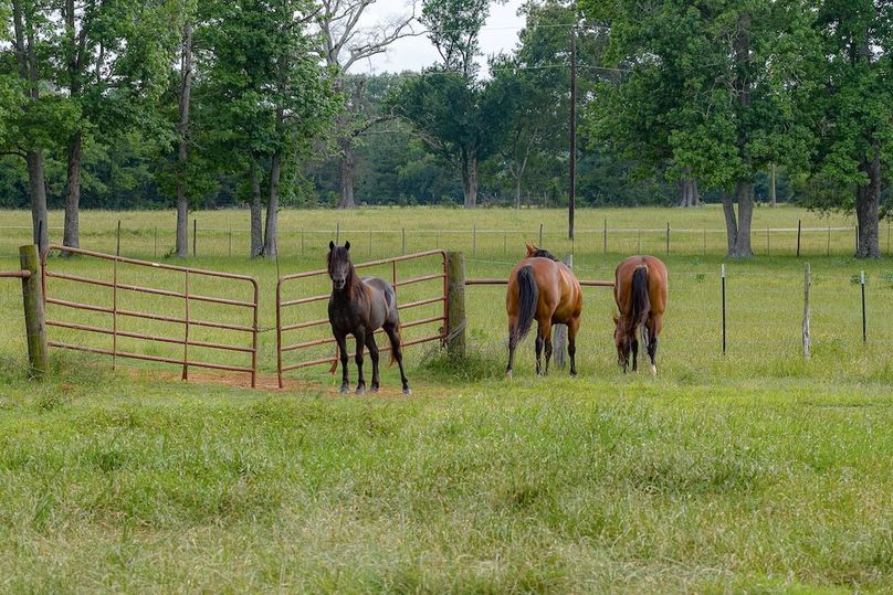 Holman Ranch-57