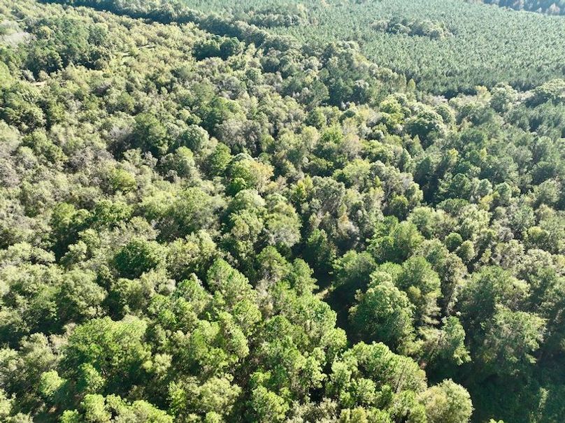 dji_fly_20251013_100658_284_1760364563765_photo