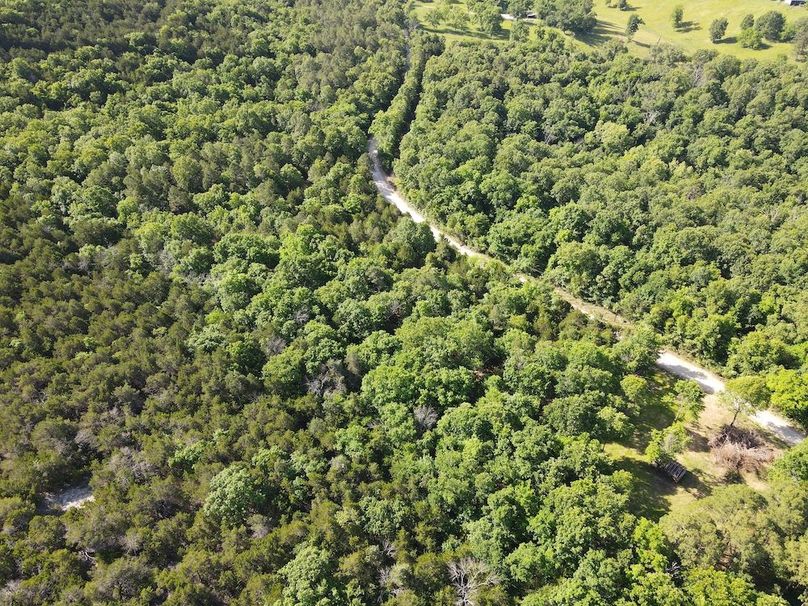 dji_fly_20260514_092528_766_1778768780545_photo
