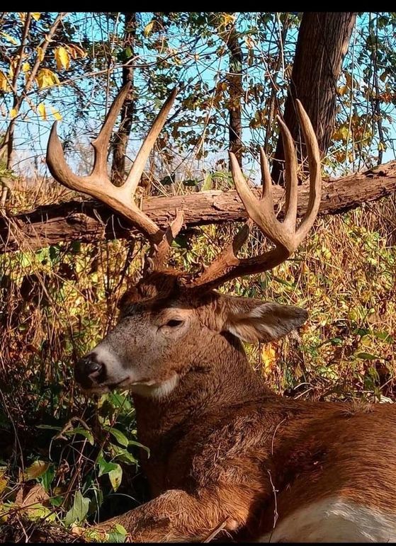 BFD5C375-75C1-4E11-AE5E-B874C00D20C1_1_201_a