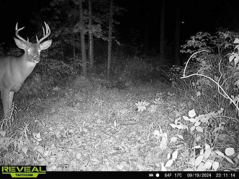 865814048154676-100-3-09192024231114-W1000076